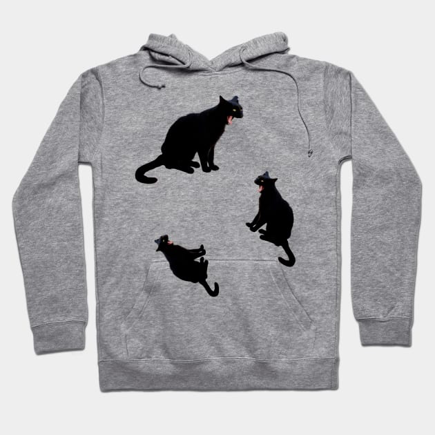 Hilarious Black cat Hoodie by Serotonin